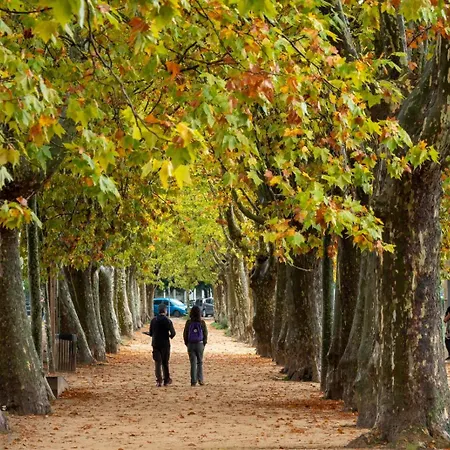 Camping El Llac De Banyoles Porqueres