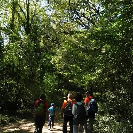 Campsite El Llac De Banyoles *